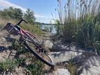 00-01 Donau